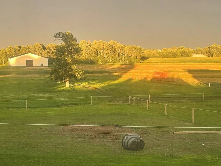 The arena building lit by golden hour light
